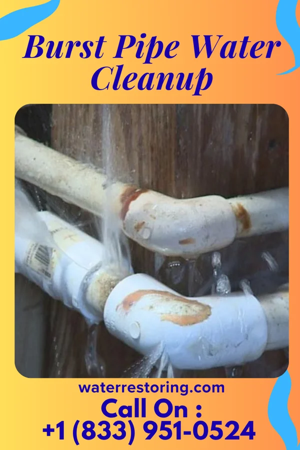 Burst Pipe Water Cleanup in New Albany, OH