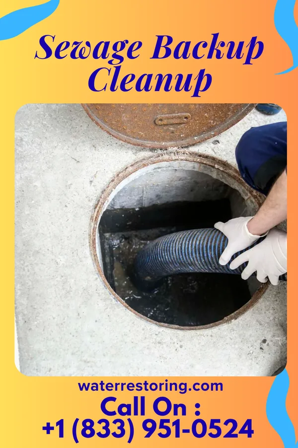 Sewage Backup Cleanup in New Albany, OH