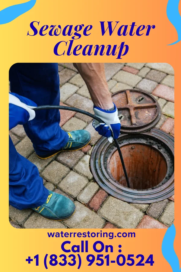 Sewage Water Cleanup in New Albany, OH