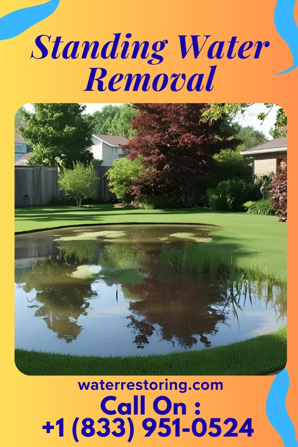 Standing Water Removal in New Albany, OH